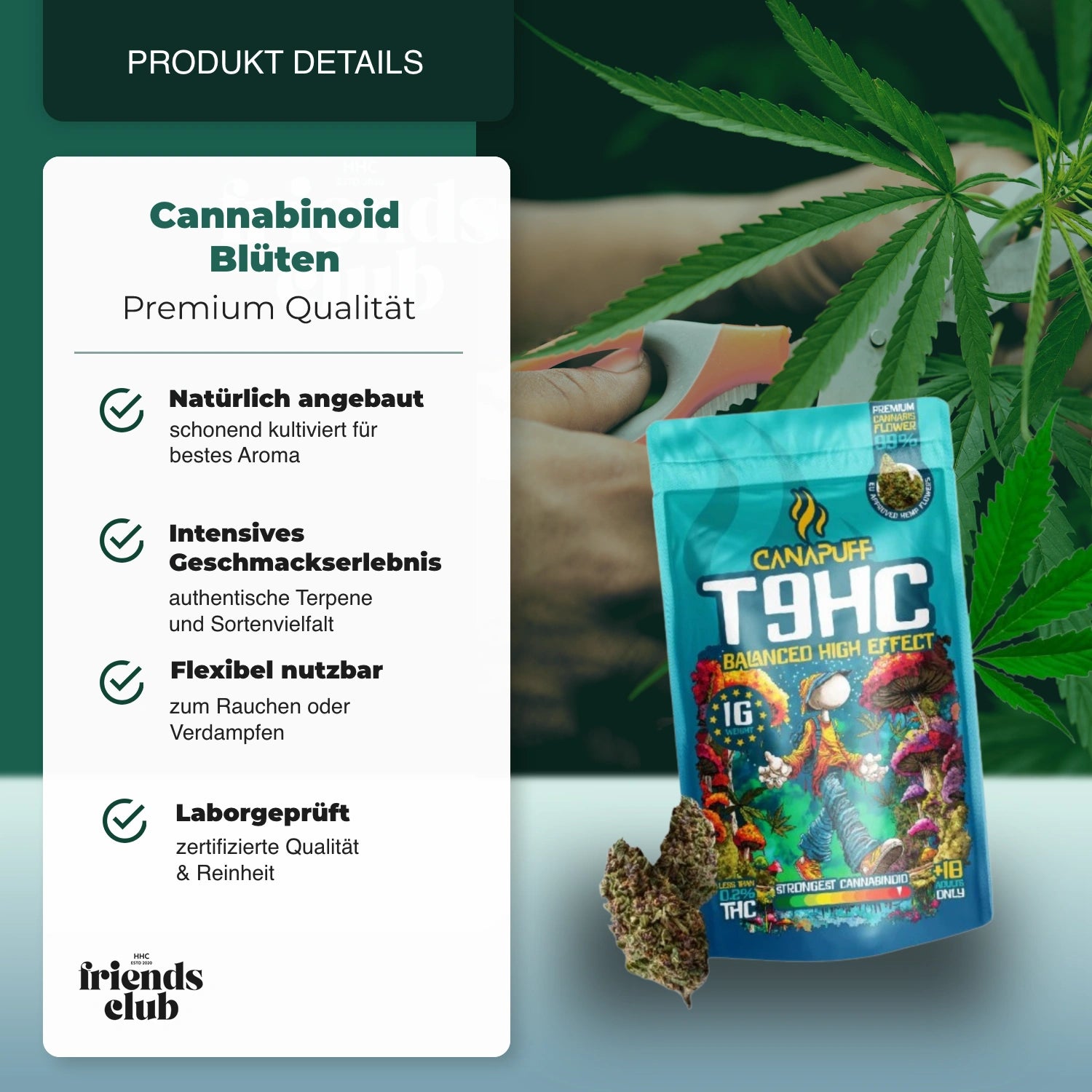 T9HC Flori Balanced 99% - hhcfriends