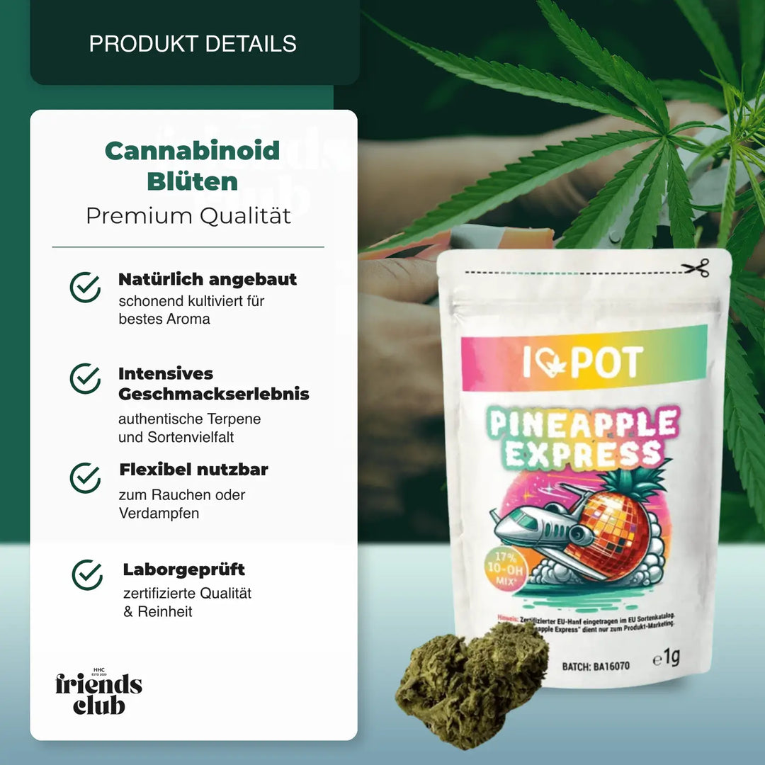 10-OH-Mix Flori Pineapple Express - hhcfriends