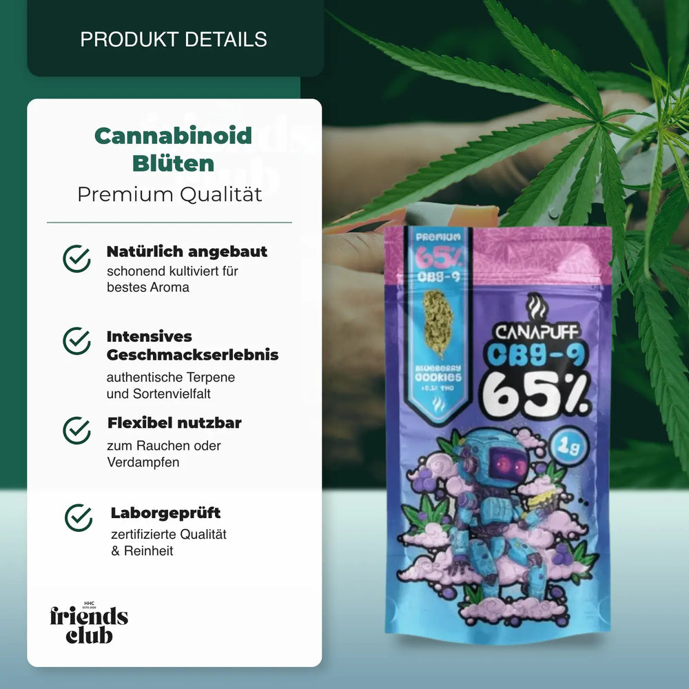 CBG9 Flori Blueberry Cookie 65% - hhcfriends
