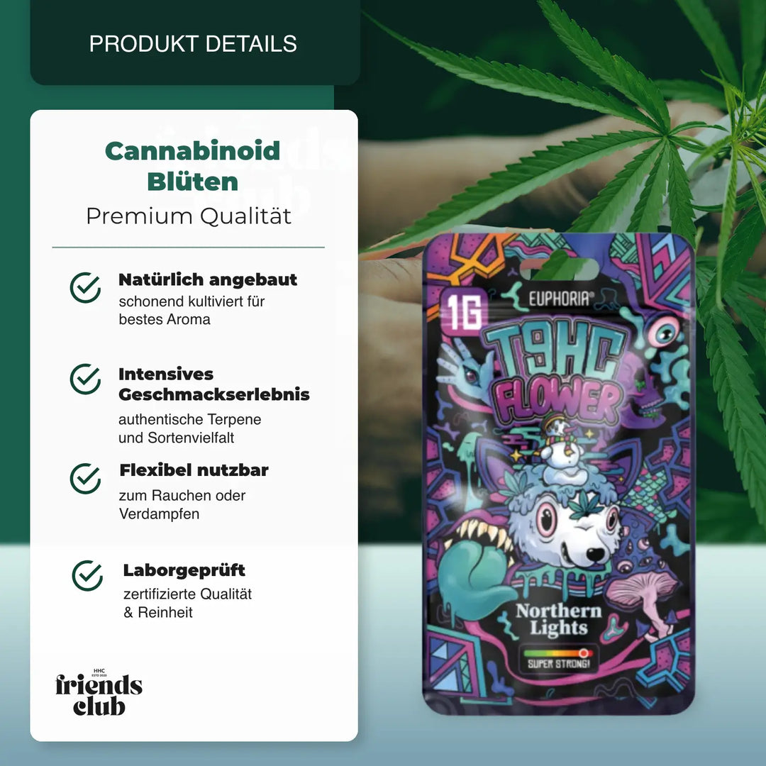 T9HC-Flori – Northern Light (1 g) - hhcfriends