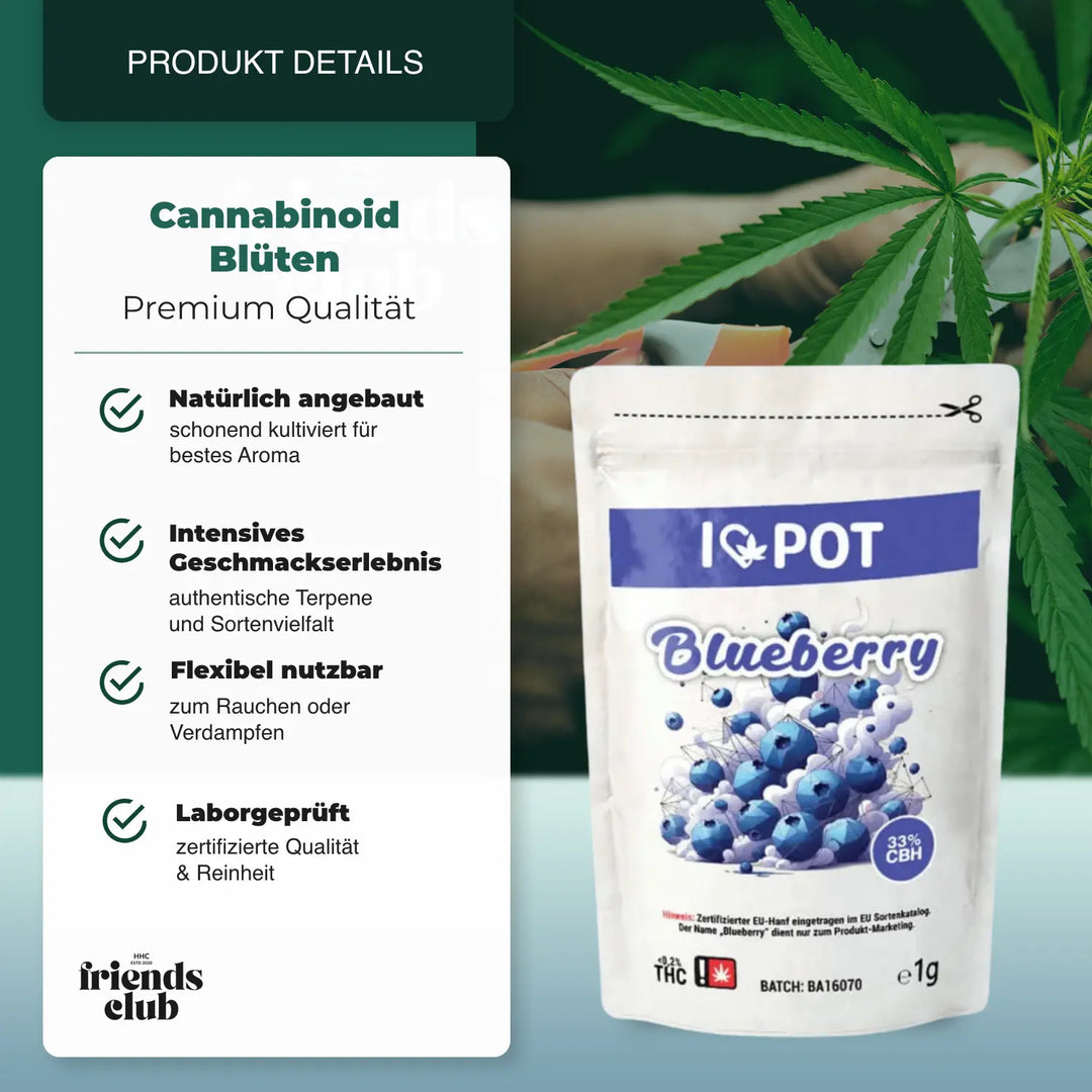 CBH Flori Blueberry 33% I♥Pot - hhcfriends