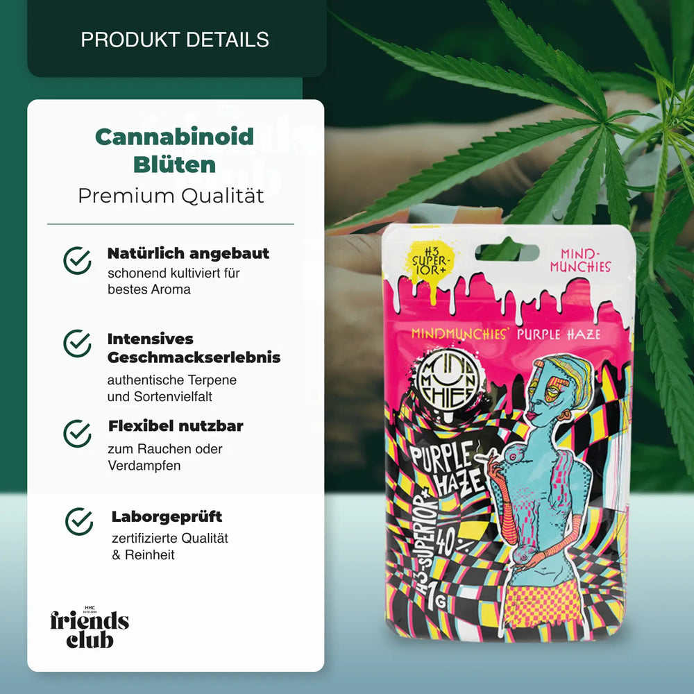 H3 Flori Purple Haze 1g - hhcfriends