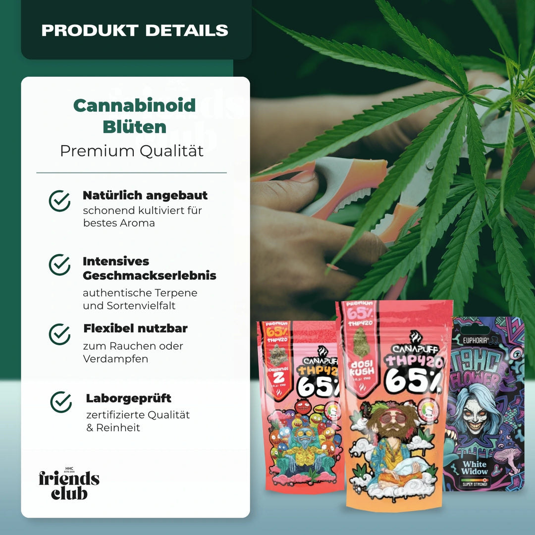 Pachet de vară - Smagro GmbH