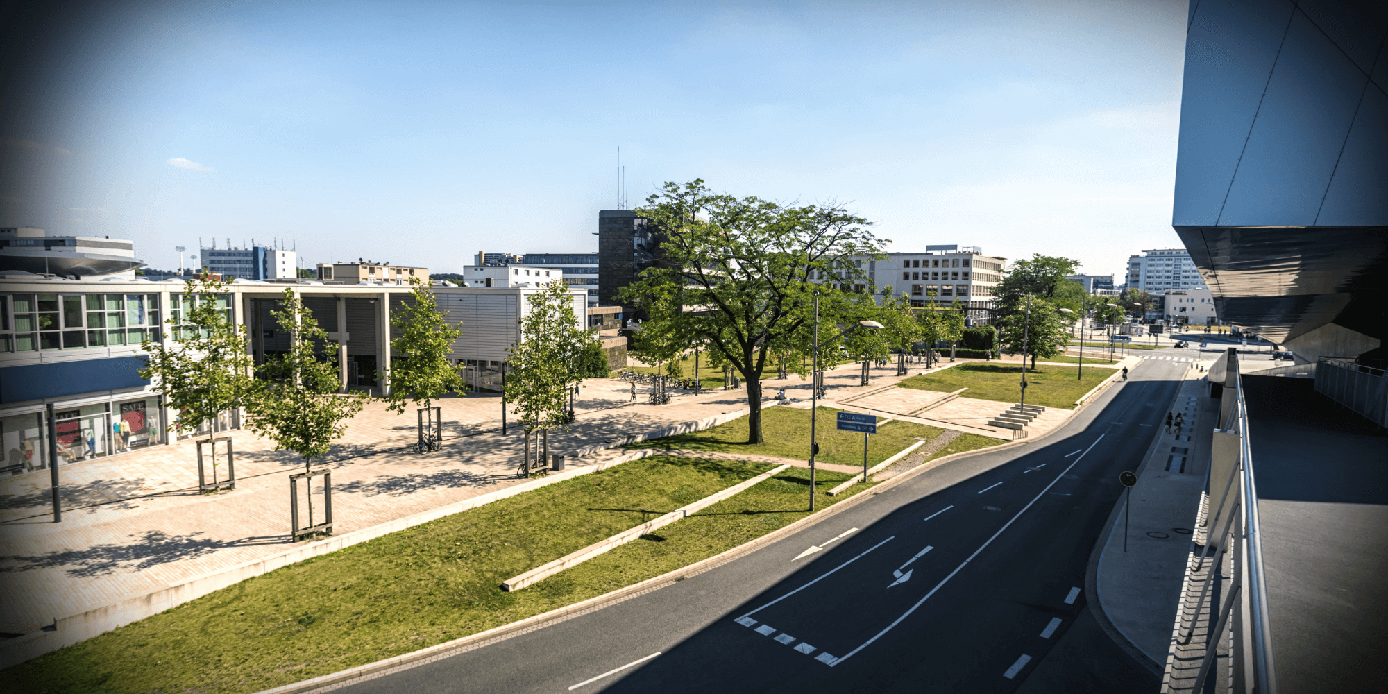 THC Liquid Kiwi Strawberry