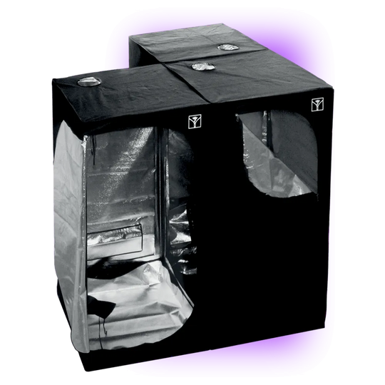 Set de cultivare Growbox Cultibox SG-Kombi 100 (100x100x200)