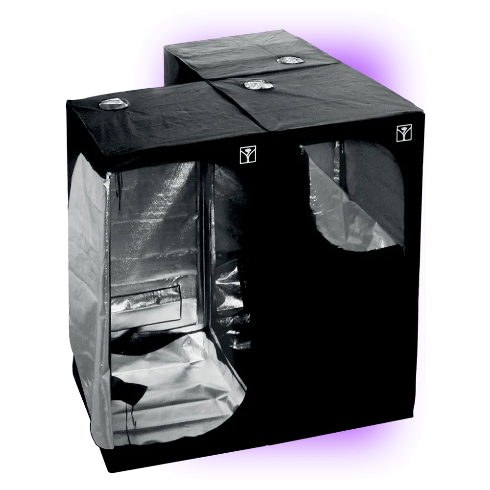 Set de cultivare Growbox Cultibox SG-Kombi 80 (80x80x160)