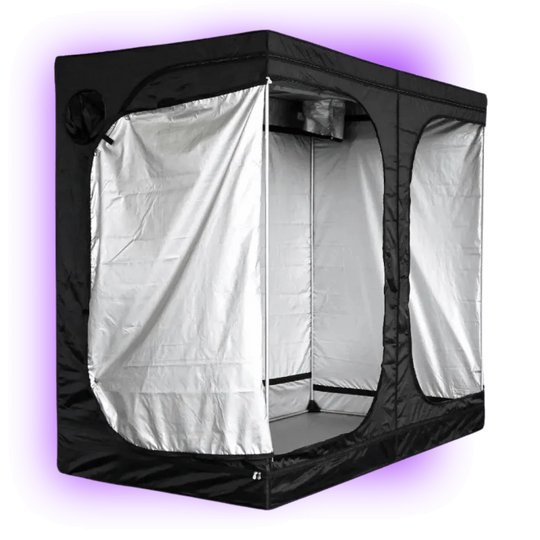 Growbox Mammoth Lite+ 240 (240 x 120 x 200 cm)