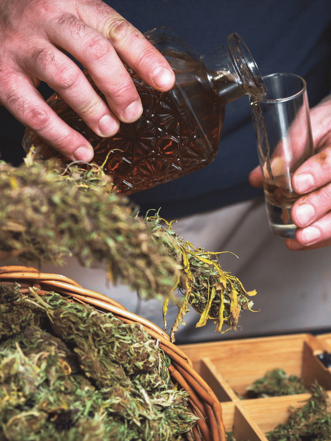 cineva care își toarnă lichior de canabis, în prim-plan flori de canabis