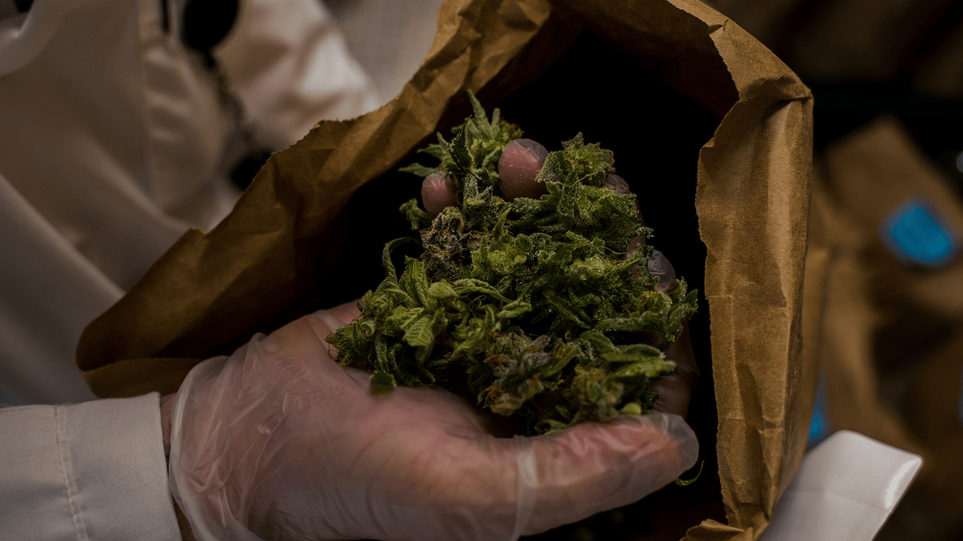 Club social de canabis cu design grafic.