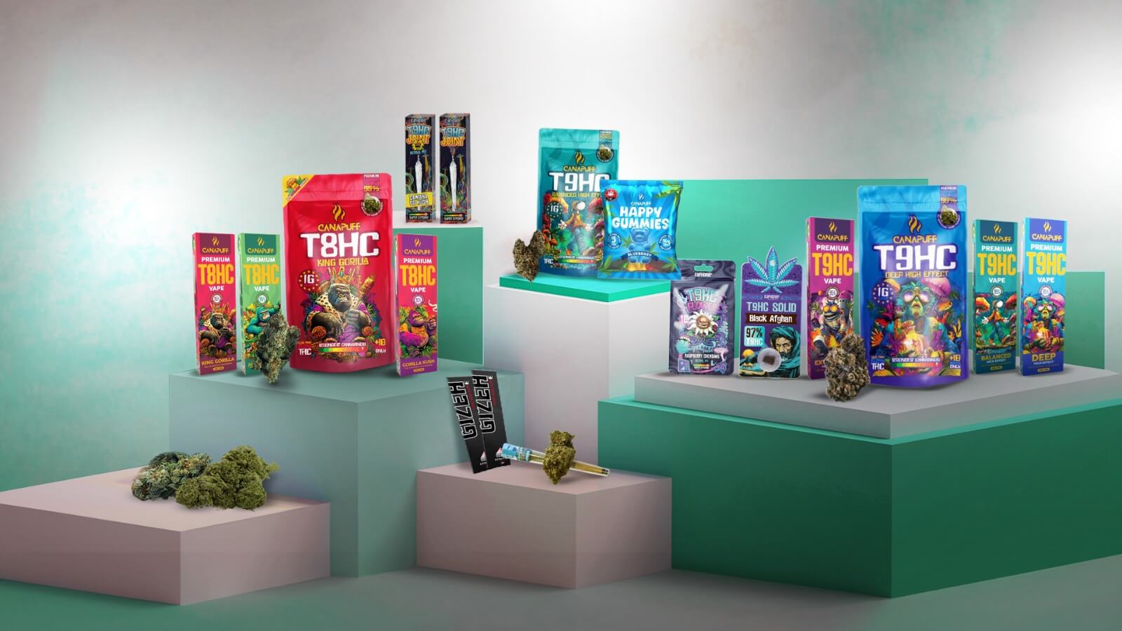 HHCFriends_Hero_Banner_jan_2026_desktop