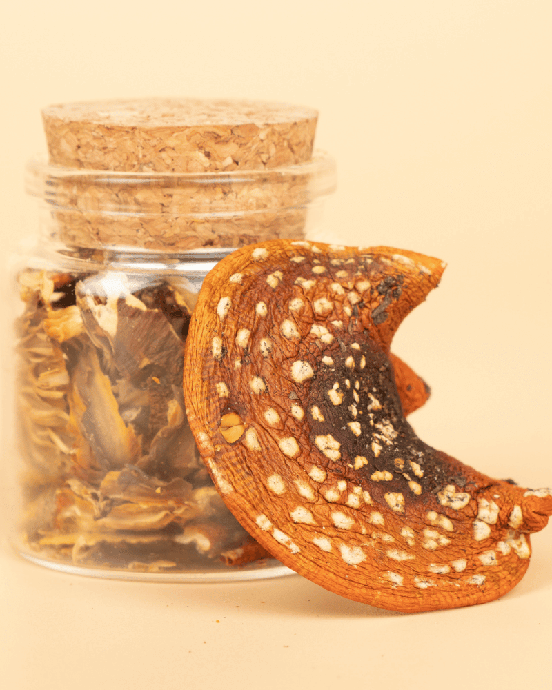 Muscimol dried in the jar