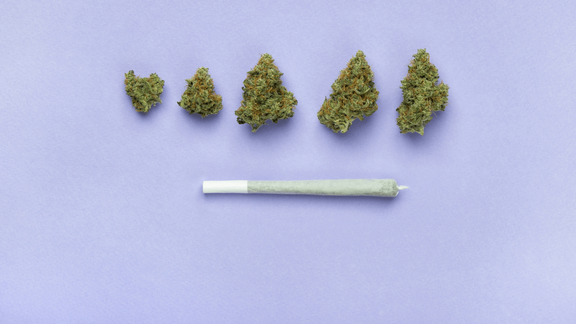 Imagine cu joint pre-rulat THC