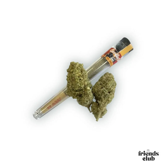 Prerolled HHZ 40% – Gorilla Glue-Smagro GmbH
