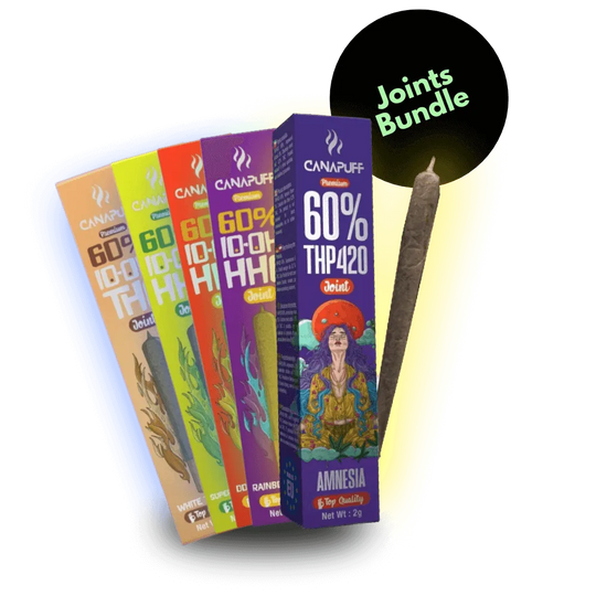 Set bestseller Jointuri (5 bucăți a câte 2 g)