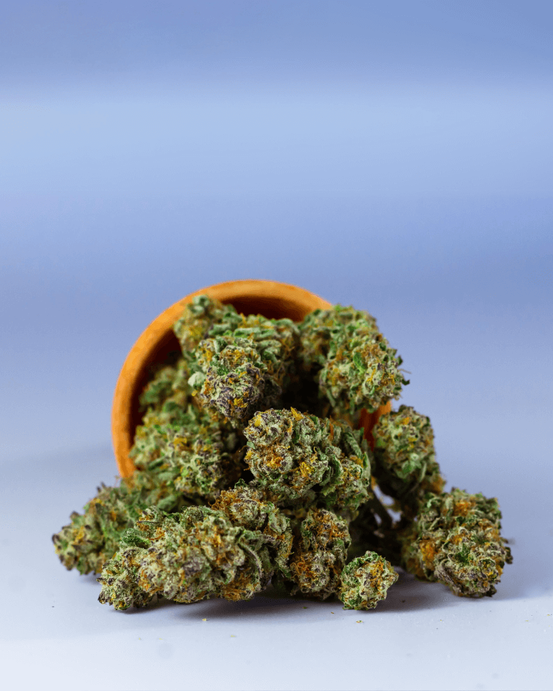 Efecte secundare ale tulpinii OG Kush