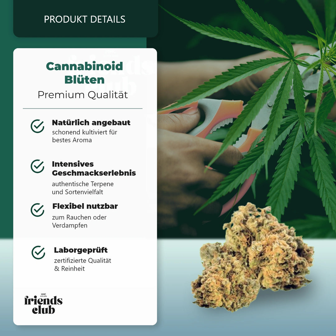 Floare CBD Mango Kush THC Low