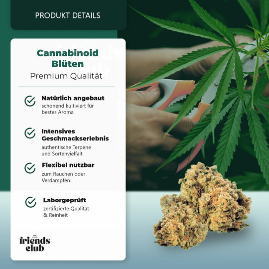 Floare CBD Mango Kush THC Low