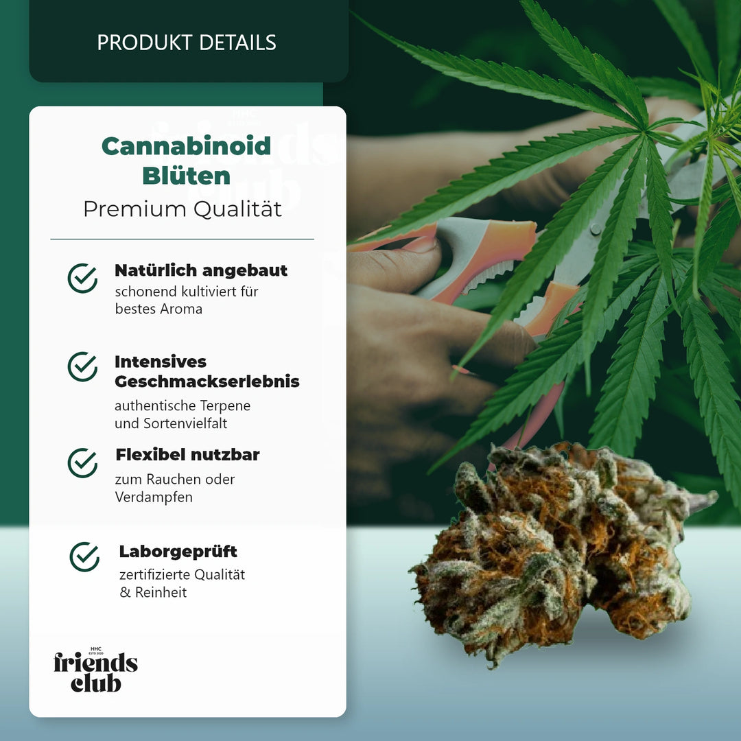 Floare CBD Blackberry Muffin THC Low