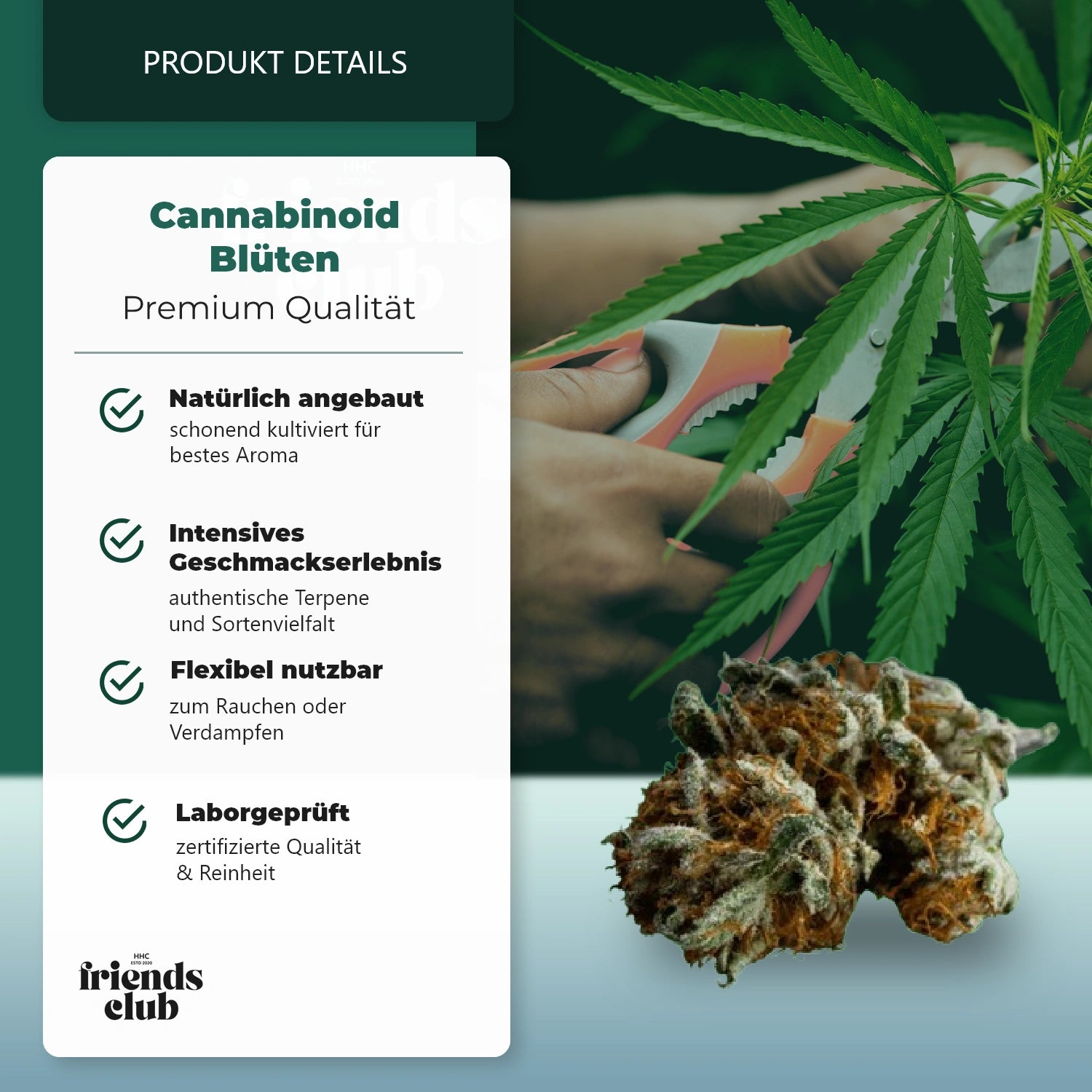 CBD fleurs Sans THC blackberry Muffin-HHCFriends