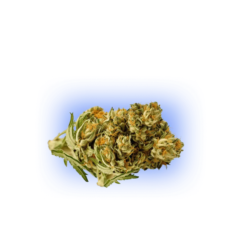 Floare CBD Pineapple Haze THC scăzut
