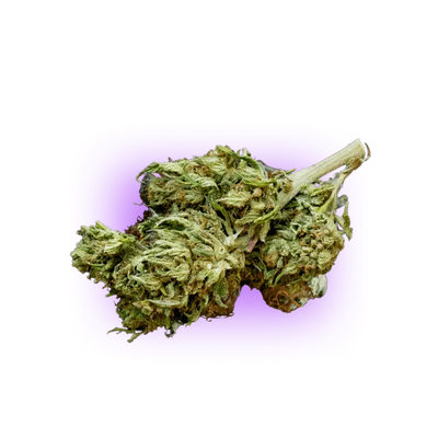 CBD Flower Super Lemon Haze THC BAJO