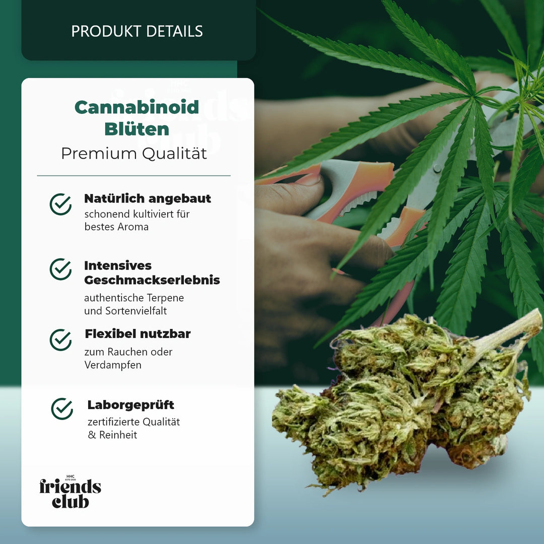 Floare CBD Super Lemon Haze THC Free