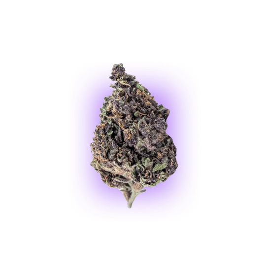 Cali Genetics Purple Milkshake 32,6% THC 🌱 3 semințe