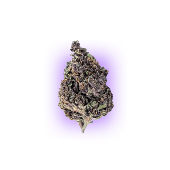 Cali Genetics Purple Milkshake 32,6% THC 🌱 3 seeds