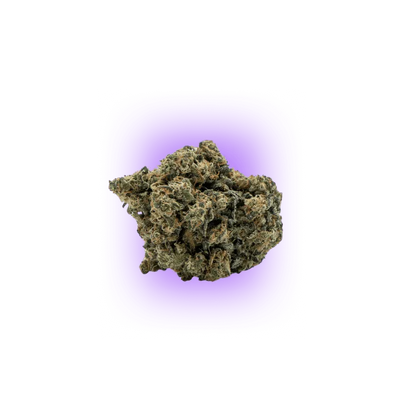 🌱 Cali Genetics Chocolate Mint OG 21,3% THC Autofloración | 3 semillas