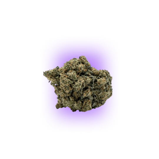 Cali Genetics Chocolate Mint OG 21,3% THC 🌱 Auto înflorire | 3 semințe