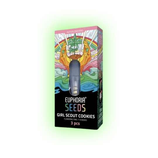 Semințe de canabis Girl Scout Cookies auto. 3 bucăți