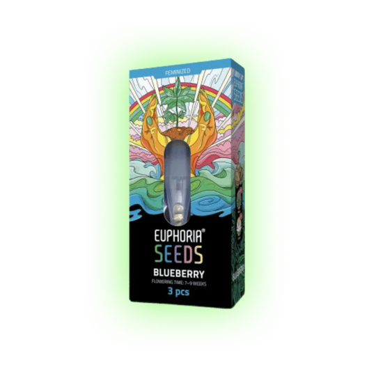 Semințe de canabis Blueberry 3 bucăți