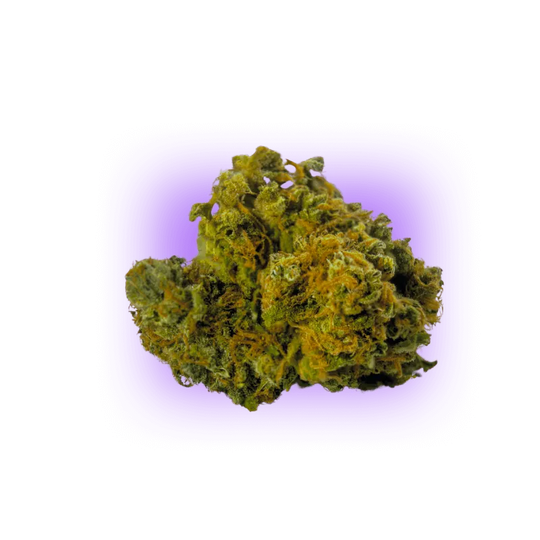 Semințe de canabis AK47 auto. 3 bucăți