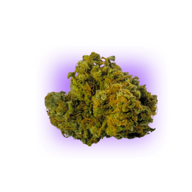 Cannabis Seeds AK47 auto. 3 pieces