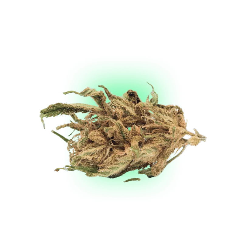 Cannabis Seeds Somango auto. 3 pieces