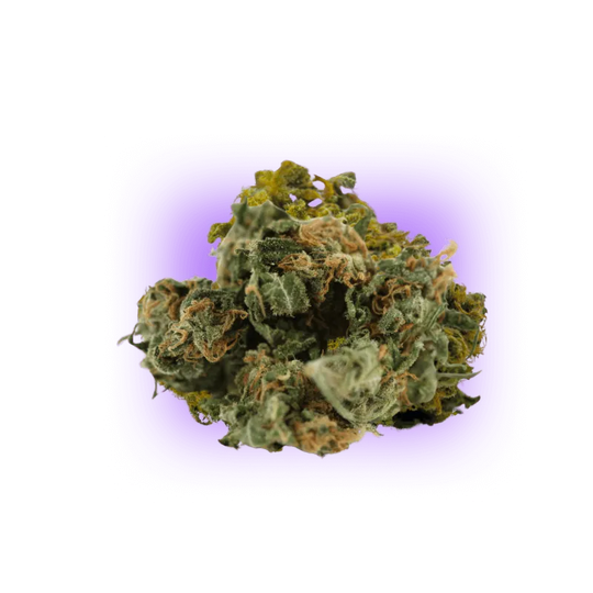 Semințe de canabis Super Skunk auto. 3 bucăți