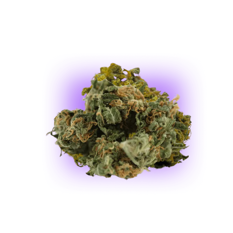 Cannabis Seeds Super Skunk auto. 3 pieces