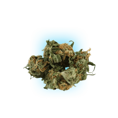 Semințe de canabis Black Domina auto. 3 bucăți