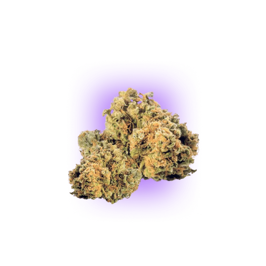 Cali Genetics Strawberry Guava - Înflorire rapidă 3 buc.