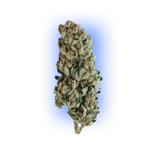 Semințe de canabis Automatik Mix Pachet 5 bucăți