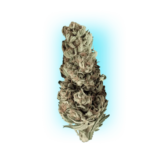 Semințe de canabis Runtz x Skywalker OG 3 bucăți