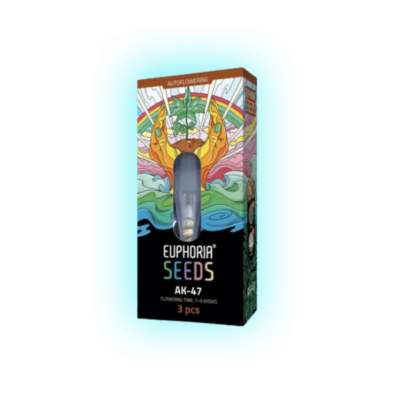 Semințe de canabis Ak-47 auto. 3 bucăți