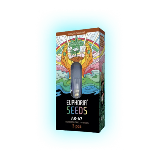 Semințe de canabis Ak-47 auto. 3 bucăți