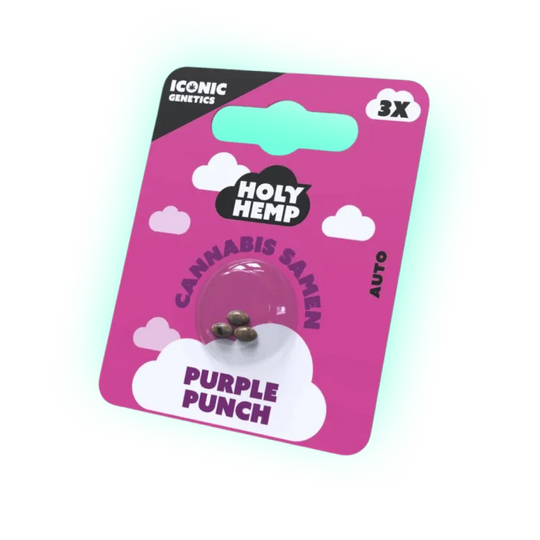 Semințe Purple Punch - Iconic Seeds (3 bucăți)