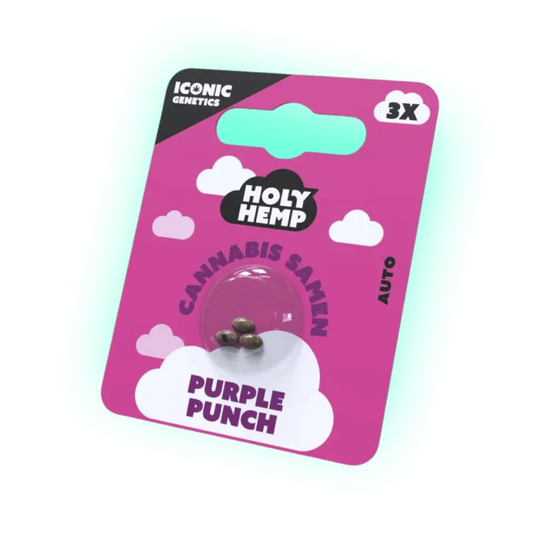 Seeds Purple Punch - Iconic Seeds (3 pieces)