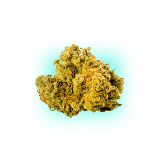 Semințe de canabis Biscotti 3 bucăți