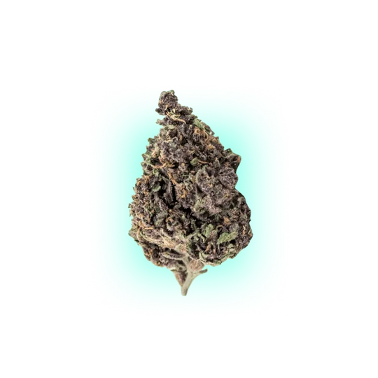 Semințe de canabis Automatik Mix Pachet 5 bucăți