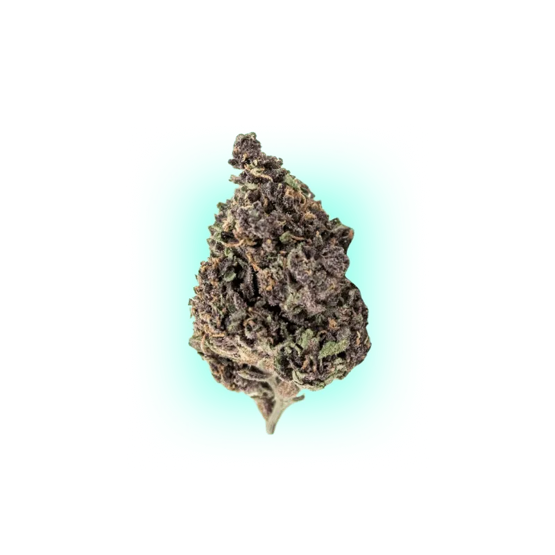 Cannabis Seeds Automatic Mix Pack 5 Pieces