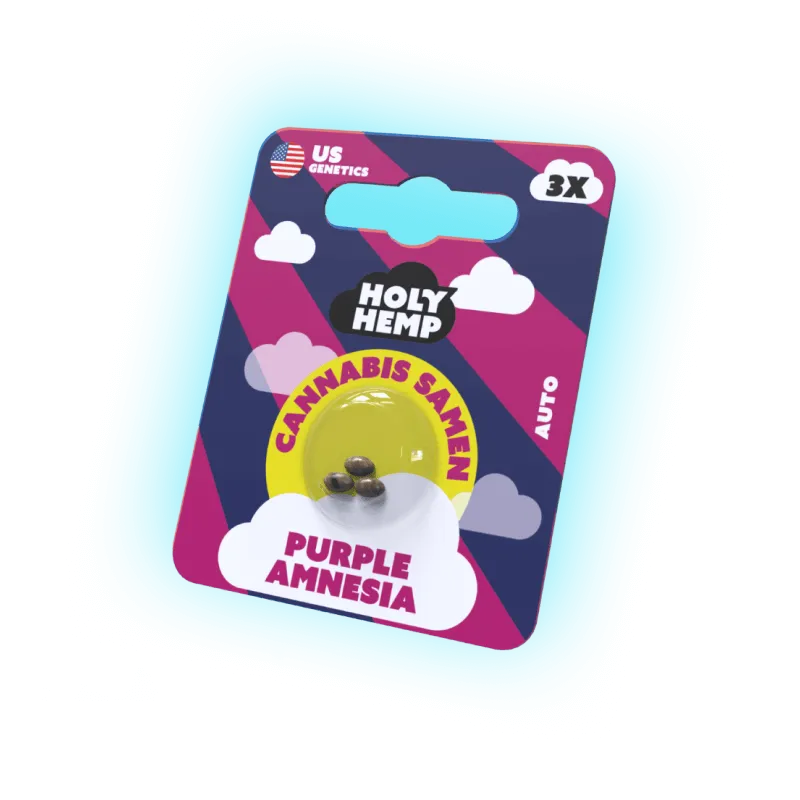 Seeds Purple Amnesia | 3 Seeds US Genetics