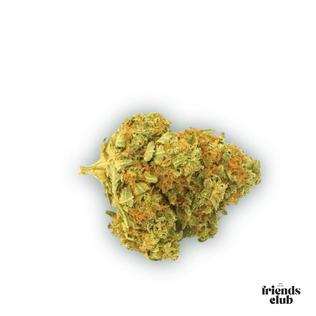 Flori CBD Gorilla Glue 1g - hhcfriends